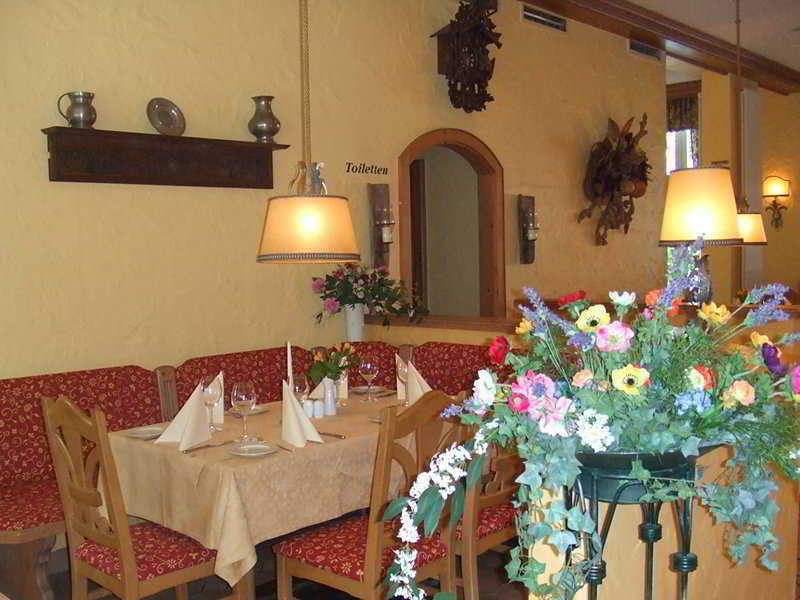 Alpinia 4*